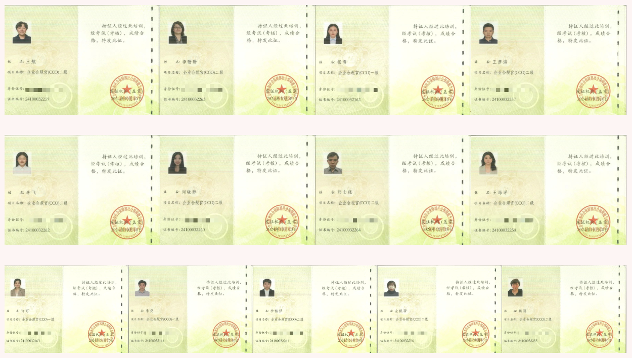 截屏2024-12-24 09.21.55.png