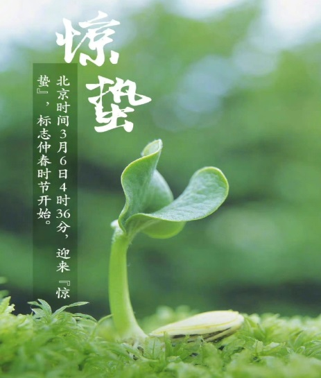 1773221290174000.png 图片 1.png